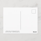 Northern Harrier Briefkaart (Achterkant)