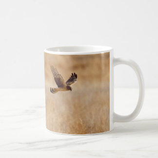 Northern Harrier Coffee Mok