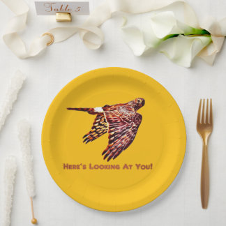 Northern Harrier, kijk naar jou Papieren Bordje