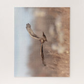 Northern Harrier Legpuzzel (Verticaal)