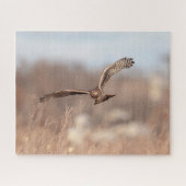 Northern Harrier Legpuzzel (Horizontaal)