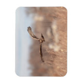 Northern Harrier Magneet (Verticaal)