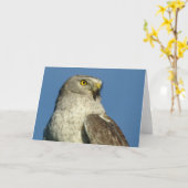 Northern Harrier Notecard Kaart (Gele Bloem)