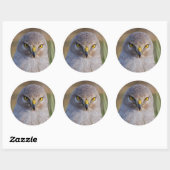 Northern Harrier Ronde Sticker (Vel)