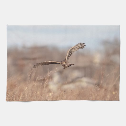 Northern Harrier Theedoek (Horizontaal)