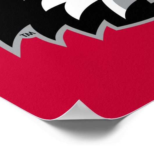 Northern Illinois Huskies Poster (Hoek)