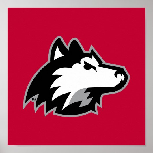 Northern Illinois Huskies Poster (Voorkant)