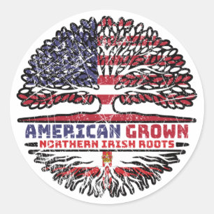 Northern Ireland Ulster US American USA Ronde Sticker