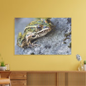 Northern Leopard frog, See-through Island; Canvas Afdruk (Insitu (Woonkamer))