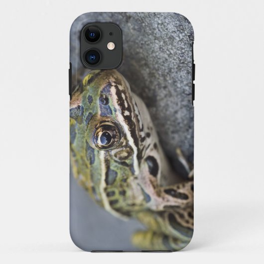 Northern Leopard frog, See-through Island; Case-Mate iPhone Case (Achterkant)