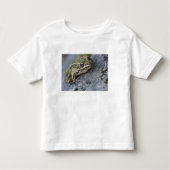 Northern Leopard frog, See-through Island; Kinder Shirts (Voorkant)