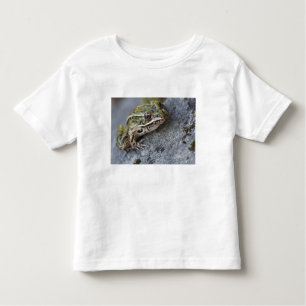 Northern Leopard frog, See-through Island; Kinder Shirts
