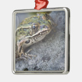 Northern Leopard frog, See-through Island; Metalen Ornament (Links)
