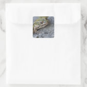 Northern Leopard frog, See-through Island; Vierkante Sticker (Tas)