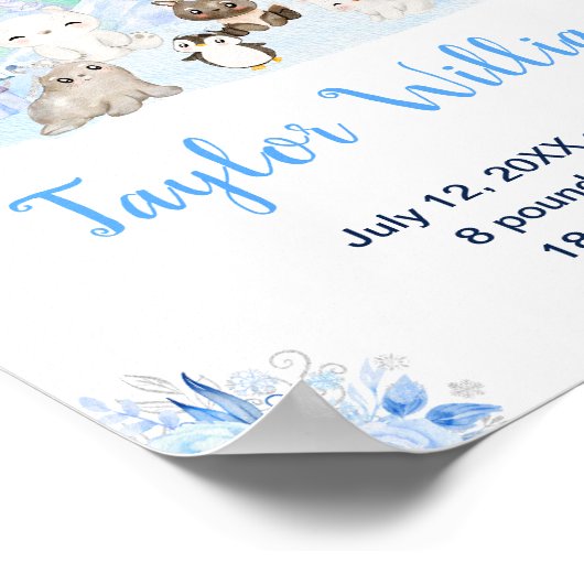 Northern Lights Arctic Animals Birth Statistics Poster (Hoek)