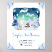 Northern Lights Arctic Animals Birth Statistics Poster (Voorkant)