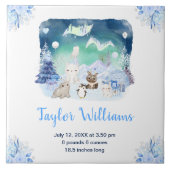 Northern Lights Arctic Animals Birth Statistics Tegeltje (Voorkant)