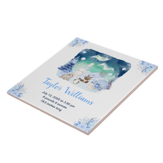 Northern Lights Arctic Animals Birth Statistics Tegeltje (Zijkant)