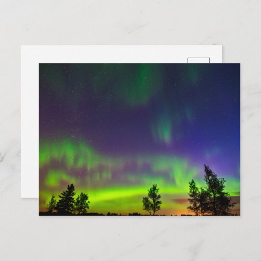 Northern Lights | Manitoba Canada Briefkaart (Voorkant / Achterkant)