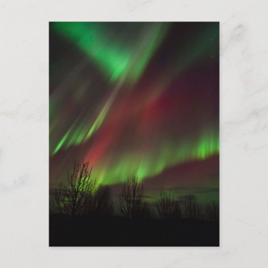 Northern Lights | Scandinavia, Iceland Briefkaart (Voorkant)