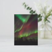 Northern Lights | Scandinavia, Iceland Briefkaart (Staand voorkant)