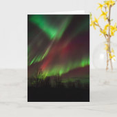 Northern Lights | Scandinavia, Iceland Kaart (Gele Bloem)