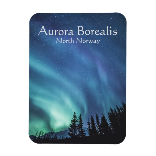 Northern Lights Souvenir Magneet (Verticaal)