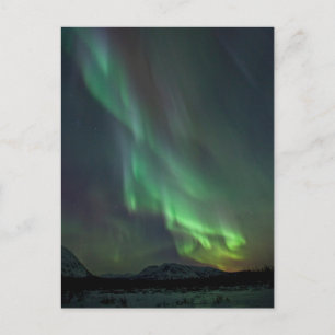 Northern Lights Yukon   Whitehorse Briefkaart