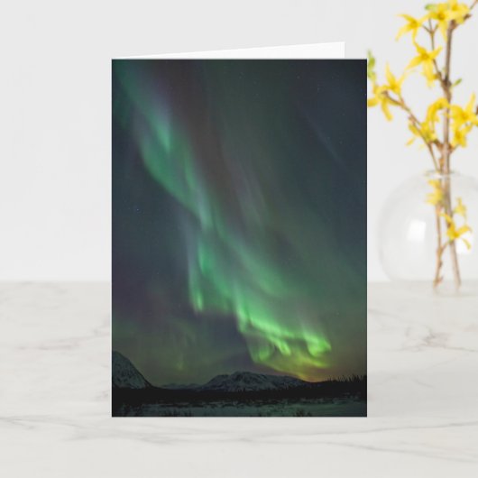 Northern Lights Yukon | Whitehorse Kaart (Gele Bloem)