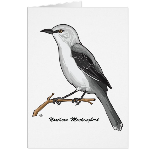 NORTHERN MOCKINGBIRD (Voorkant)