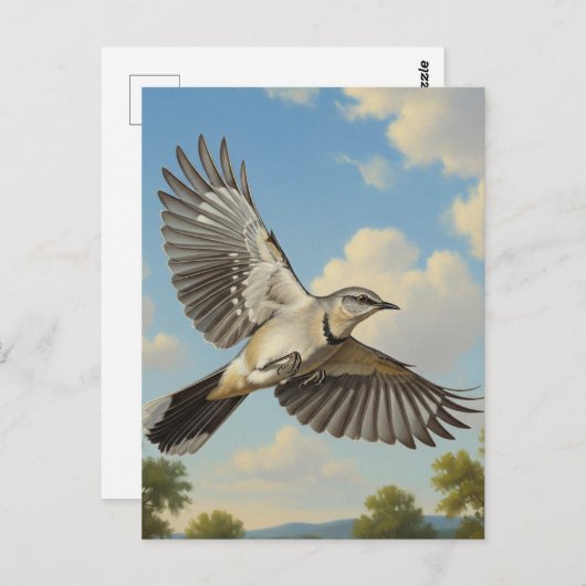 Northern Mockingbird in flight Briefkaart (Voorkant / Achterkant)