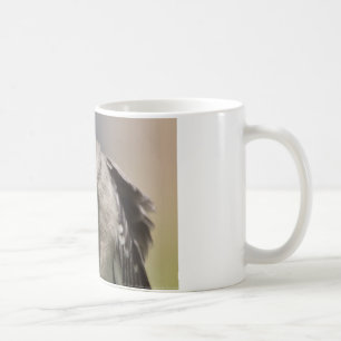 Northern Mockingbird neemt een Buiging Kleding & C Koffiemok