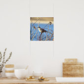 Northern Mockingbird Poster (Keuken)