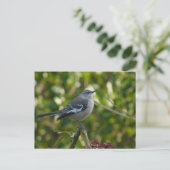 Northern Mockingbird Safety Harbor Briefkaart (Staand voorkant)