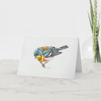 Northern Parula Warbler Art Kaart
