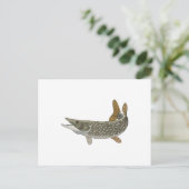 NORTHERN PIKE BRIEFKAART (Staand voorkant)