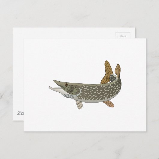 NORTHERN PIKE BRIEFKAART (Voorkant / Achterkant)