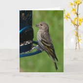 Northern Pine Siskin - Frameable Art Kaart (Gele Bloem)