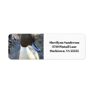Northern Pintail Duck Return Address Etiket