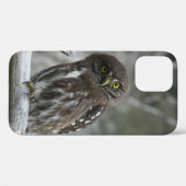 Northern Pygmy Owl iPhone 12 Hoesje (Achterkant (horizontaal))