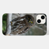 Northern Pygmy Owl iPhone 14 Hoesje (Achterkant (horizontaal))