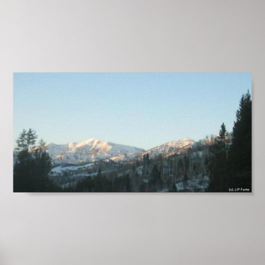 Northern Rocky Mountain Forest Poster (Voorkant)