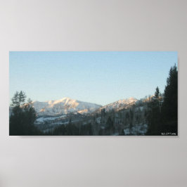 Northern Rocky Mountain Forest Poster