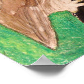 Northern Saw Whet Owl by artiest Carol Zeock Poster (Hoek)