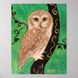 Northern Saw Whet Owl by artiest Carol Zeock Poster
