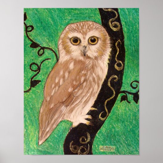 Northern Saw Whet Owl by artiest Carol Zeock Poster (Voorkant)