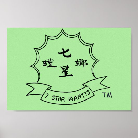 Northern Shaolin 7 Star Praying Mantis Poster 2 (Voorkant)