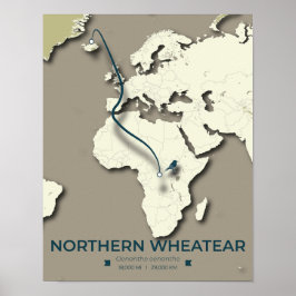 Northern Wheatear Migratie Kaart - Minimalistisch Poster