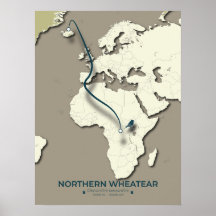 Northern Wheatear Migratie Kaart - Minimalistisch