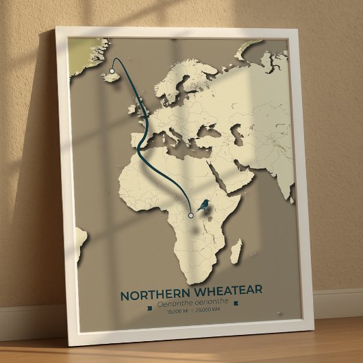 Northern Wheatear Migratie Kaart - Minimalistisch Poster
